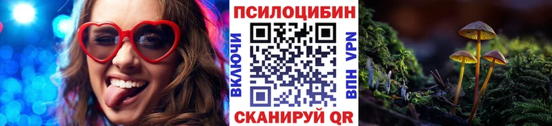 Псилоцибиновые грибы прущие грибы  это какой сайт  Томари 